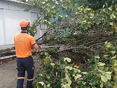 Prefeitura de Guarujá desobstrui oito vias após chuva do último final de semana