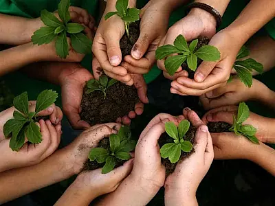 Transição ecológica, para onde?