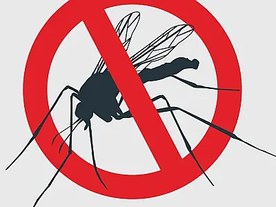 Confira os números da dengue e chikungunya em Cubatão