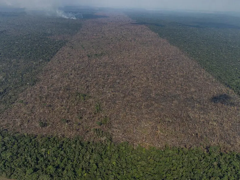 Brasil registra alta na emissão de gases de efeito estufa