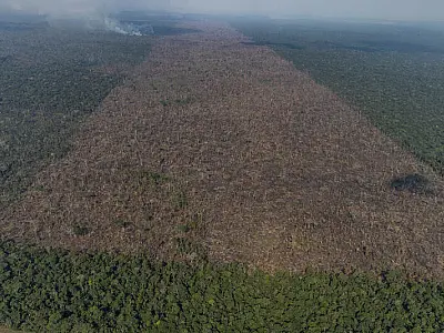 Brasil registra alta na emissão de gases de efeito estufa