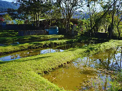 Revitalização da Regional Rural em Mongaguá promove agricultura sustentável e turismo ecológico