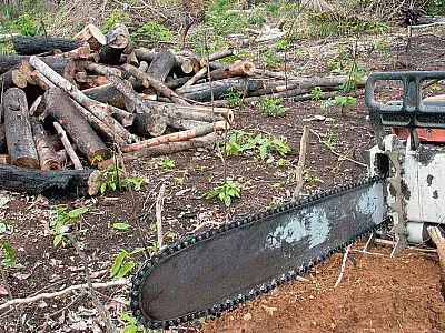 Em 2022, Amazônia teve maior desmatamento em 15 anos, diz Imazon