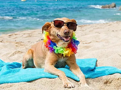 Verão no hemisfério sul começa nesta quarta-feira