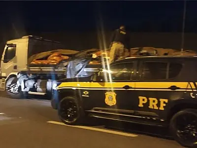 PRF apreende mais de 1300 garrafas de vinho sem nota fiscal