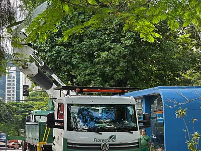 Guarujá utiliza equipamentos inéditos em serviços de poda ecológica