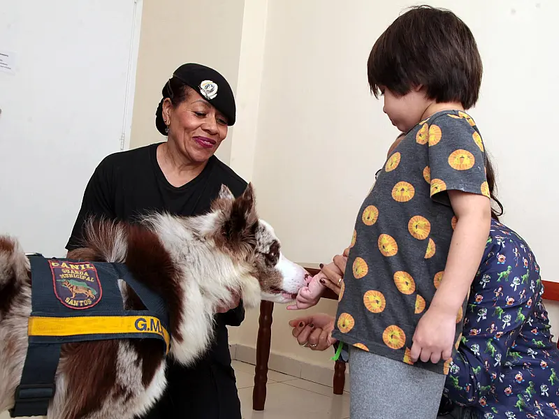 Cães da Guarda Civil Municipal de Santos ajudam no tratamento de pessoas com TEA