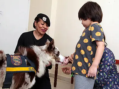 Cães da Guarda Civil Municipal de Santos ajudam no tratamento de pessoas com TEA
