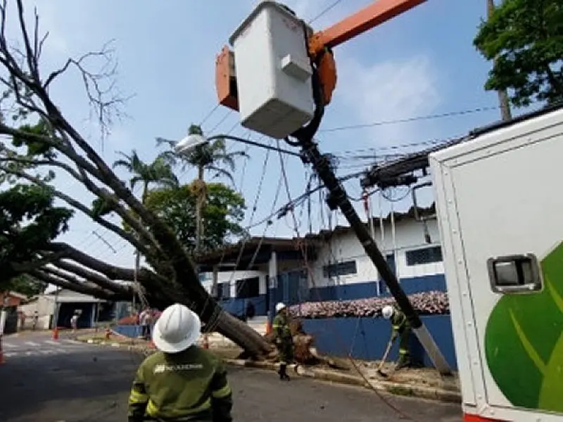Neoenergia Elektro reforça orientações de segurança com a rede elétrica durante temporais