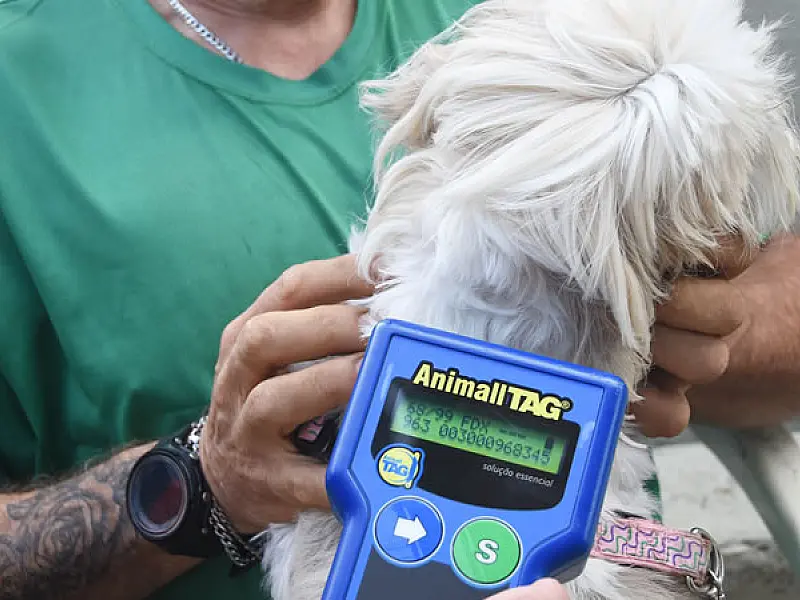 Pet PG Chip retorna em 2026 com ação de microchipagem em cães e gatos