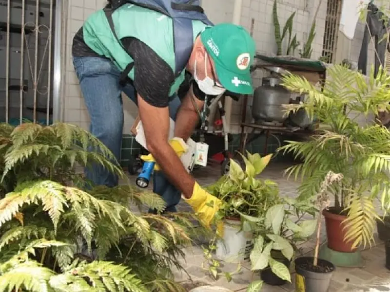 Mutirão contra o Aedes Aegypti acontece nesta quarta-feira no Caruara
