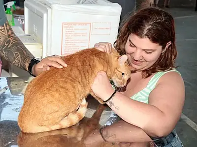 Santos inicia campanha de vacinação para cães e gatos nesta segunda-feira