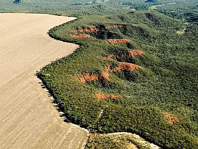 Área desmatada no Brasil em 2023 cai 11,6%, indica MapBiomas