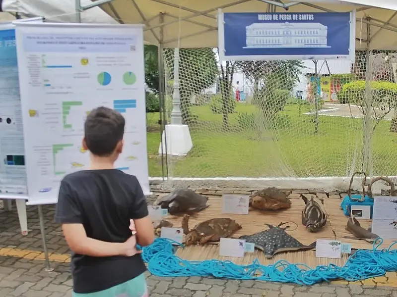 Festival Oceano celebra aniversário do Porto de Santos com conscientização ambiental