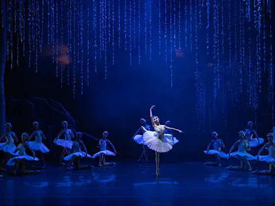 Bertioga promove workshops com a São Paulo Companhia de Dança e leva alunos ao "O Lago dos Cisnes"