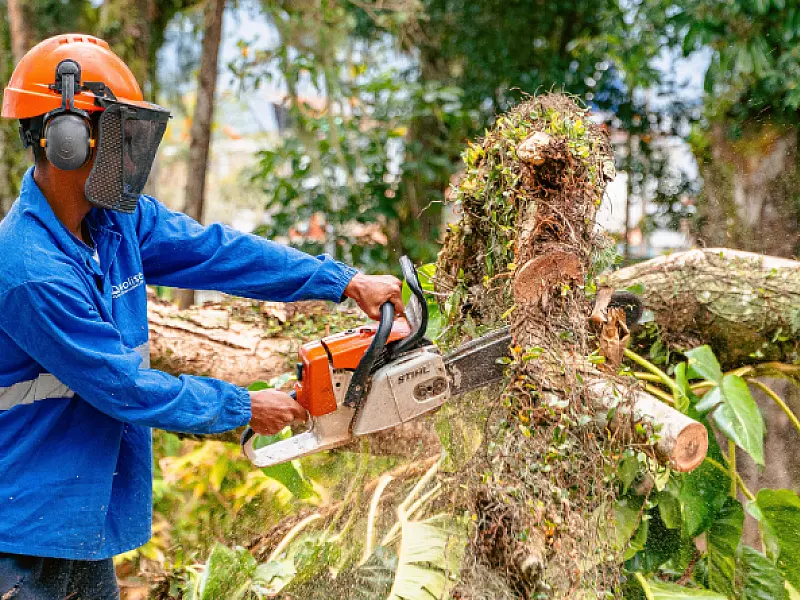Bertioga intensifica zeladoria com mutirões, revitalização e reparos após ventania