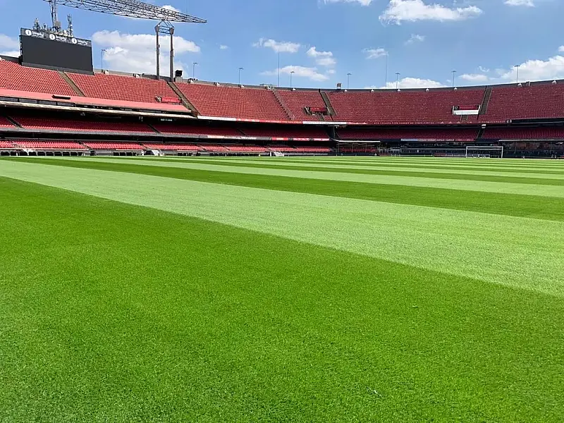 Gramado do Morumbi passa em teste após maratona de São Paulo e Palmeiras