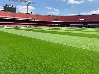 Gramado do Morumbi passa em teste após maratona de São Paulo e Palmeiras