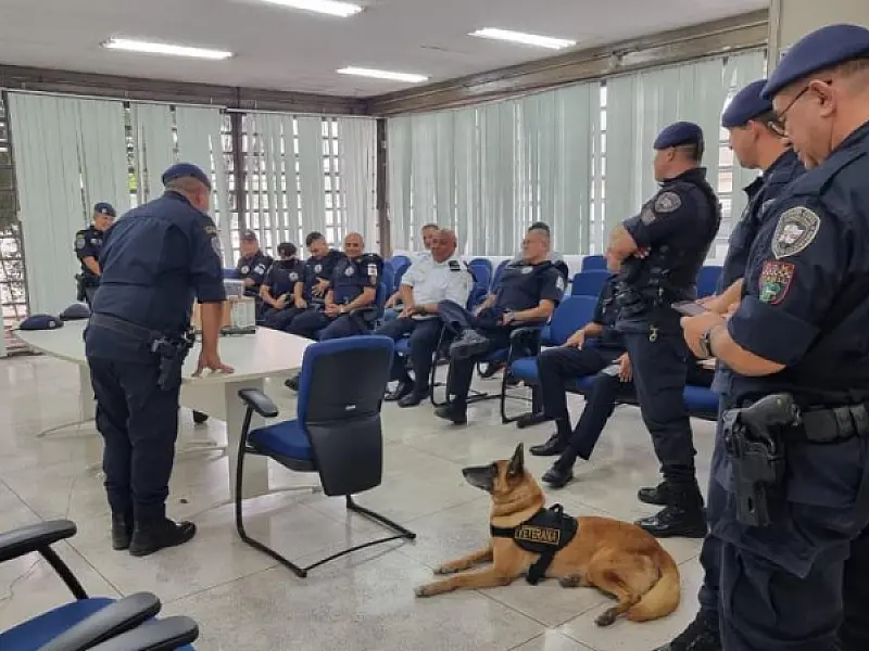 Guarda Municipal de Santos treina terapia com cães e ganha novo pastor para ações de segurança