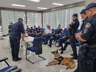 Guarda Municipal de Santos treina terapia com cães e ganha novo pastor para ações de segurança