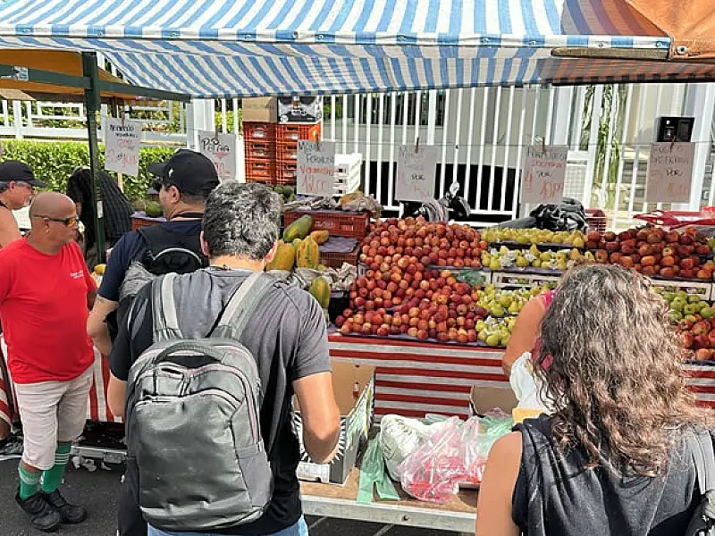 Força-tarefa combate irregularidades em feiras livres de Santos