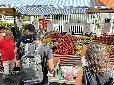 Força-tarefa combate irregularidades em feiras livres de Santos