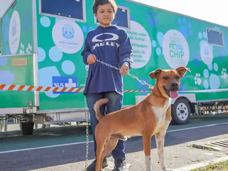 'Pet PG Chip' é a novidade da feira livre da Vila Sônia nesta sexta-feira (8)