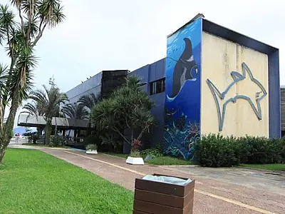 Aquário de Santos promove atividades em comemoração à Semana do Meio Ambiente