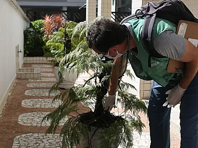 Ponta da Praia, em Santos, recebe mutirão contra o Aedes na quarta-feira