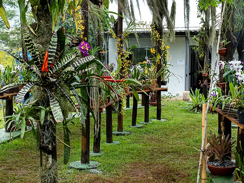 Bertioga reafirma compromisso com educação ambiental e inclusão com novos espaços