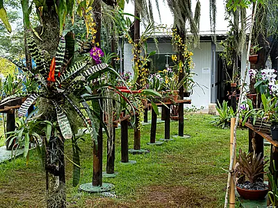 Bertioga reafirma compromisso com educação ambiental e inclusão com novos espaços