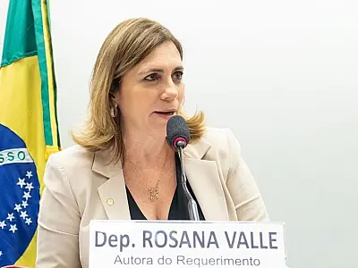 Deputada Rosana Valle propõe uso de lacres e de chips rastreáveis em bagagens