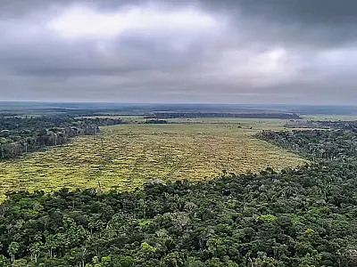 Desmatamento na Amazônia registra maior queda do ano em novembro