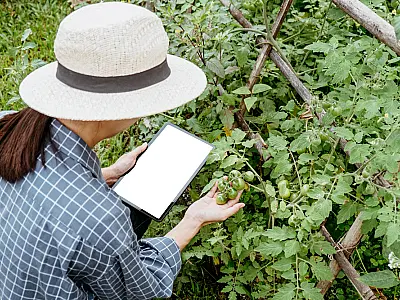 Sebrae-SP abre 16 vagas para programa gratuito de inovação rural na Baixada Santista