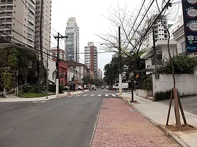 Ipês-amarelos começam a ser plantados para ampliar arborização da Azevedo Sodré