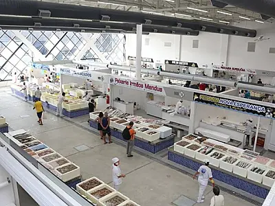 Mercado de Peixes de Santos promove festival com camarão a partir de R$ 29,99