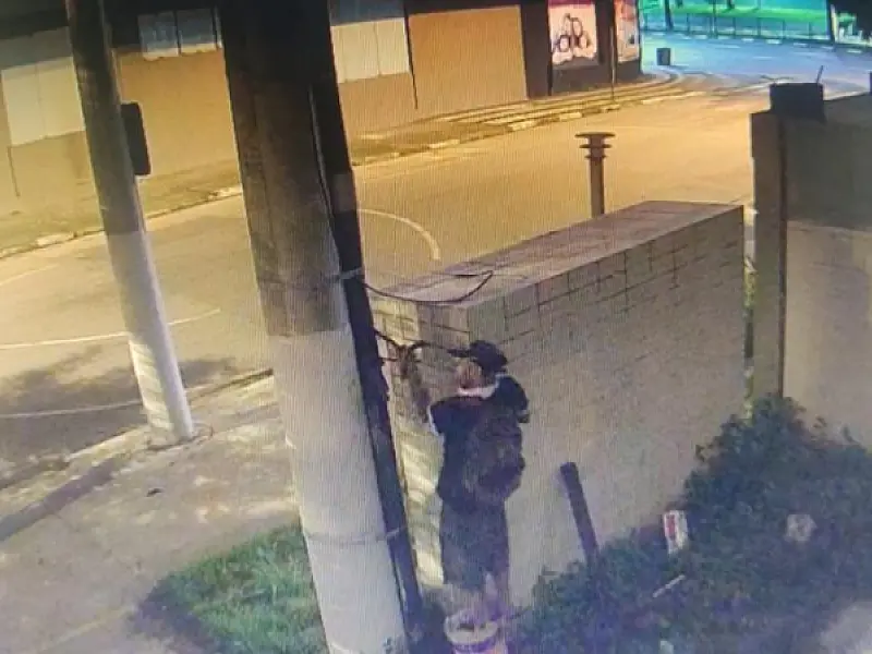 Guardas municipais prendem homem que tentava furtar fios de iluminação escolar