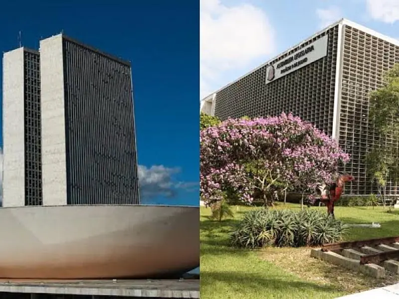 Rosana Valle e Caio França lideram intenção de voto entre eleitores da Baixada e do Vale