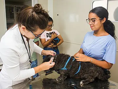 Catiapoã recebe projeto 'Veterinário nos Bairros' com atendimento de 30 animais