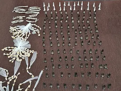 Mais de 390 porções de drogas são apreendidas durante ação em Mongaguá