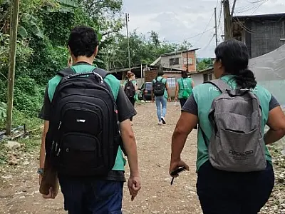 Mutirão em bairro da Zona Noroeste de Santos elimina 79 focos com larvas de mosquito