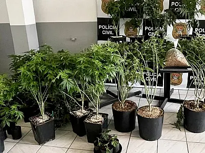 Operação na Baixada e no Vale resulta em 261 presas e mais de 410 kg de droga apreendidos