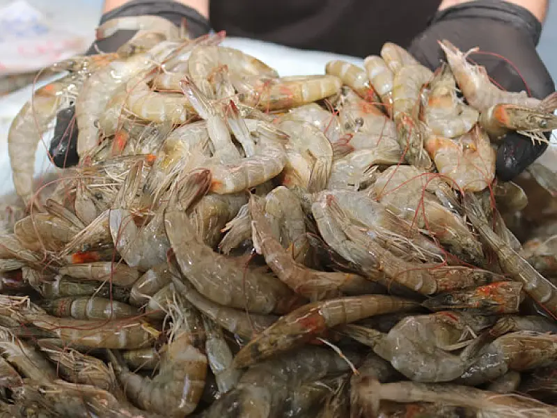 Festival do Camarão movimenta Mercado de Peixes de Santos até domingo
