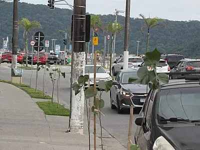 Santos é a melhor avaliada da Região no Programa Município Verde Azul, que mede ações sustentáveis