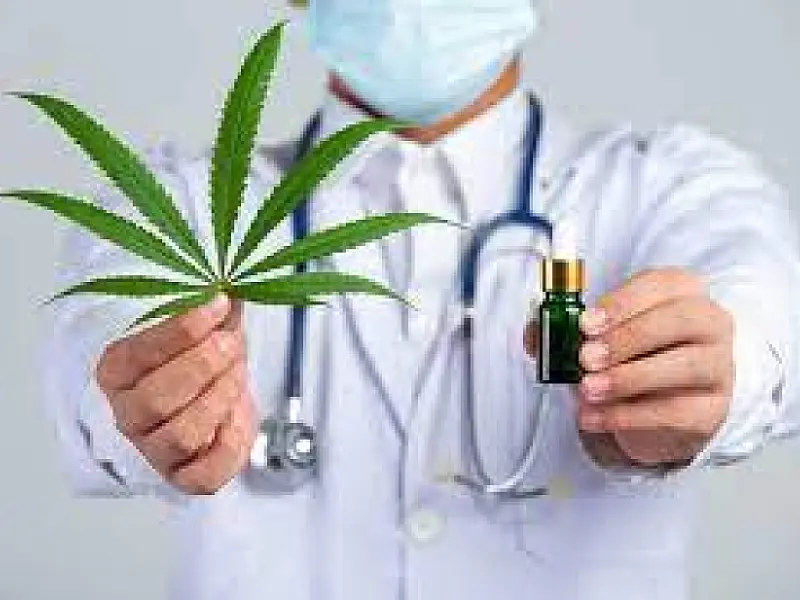 Conselho de políticas sobre drogas discutirá cannabis medicinal após voltar a ter espaço no governo