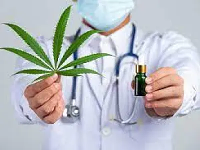 Conselho de políticas sobre drogas discutirá cannabis medicinal após voltar a ter espaço no governo