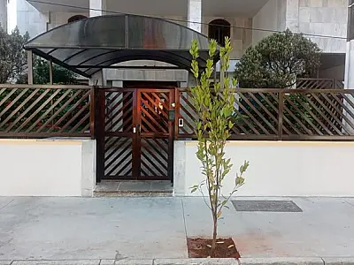 Avenida de Santos ganha reforço na arborização com 70 novas espécimes