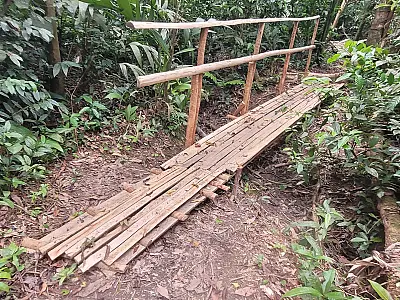Trilhas de ecoturismo recebem manutenção para oferecer mais qualidade e segurança aos visitantes
