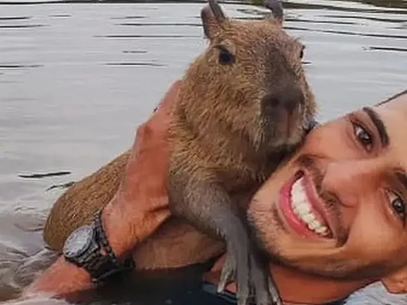 Após polêmica com capivara, Agenor Tupinambá ganha mais de 2 milhões de seguidores