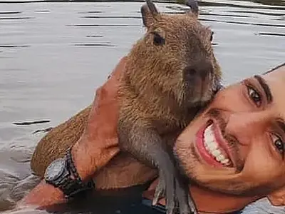 Após polêmica com capivara, Agenor Tupinambá ganha mais de 2 milhões de seguidores
